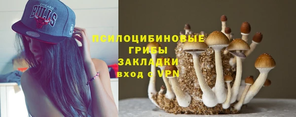 2c-b Алексин