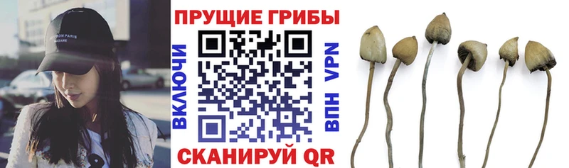 Галлюциногенные грибы мухоморы  Клин 